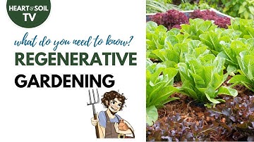 Most Important Part of Your Garden | Matt Powers, The Permaculture Student