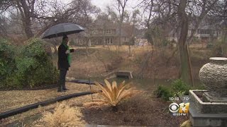 Sinking Yard: A Fort Worth Homeowner's Fight With The HOA