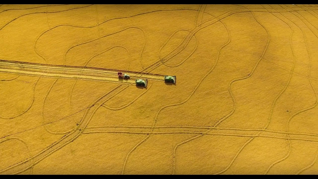 Uruguay: a small country, big rice (SAMAN)