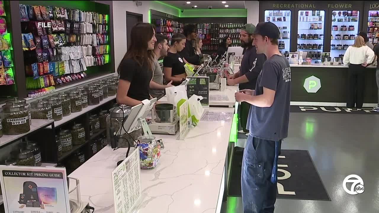 'Cost and price go up': How Michigan cannabis industries are reacting to Trump's tariffs