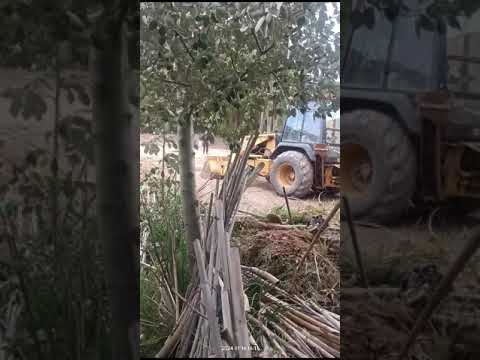 Llantos y desconsuelo ante la demolición de casas en Tilcara