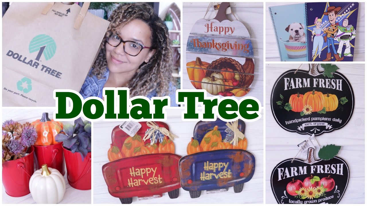 new dollar tree hauls 2021