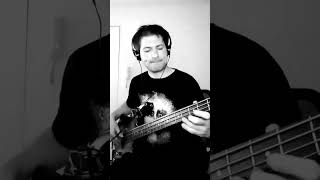 Englishman In New York - walking bass #bassguitar #shorts