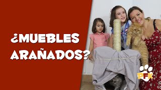 JUGUETE PARA GATOS INTERACTIVO -  - PETS FAMILY KIDS