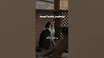 الله يبسط الرزق لمن يشاء الشيخ المنشاوي قرآن المصحف اكسبلور دويتو المنشاوي قران كريم الله 