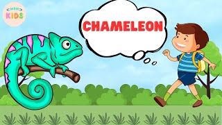 Chameleon Facts For Kids 😊 Learn All About Chameleons | MON Kids