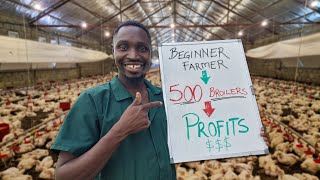 How Much Profit can a First time Farmer make from 500 Chickens?