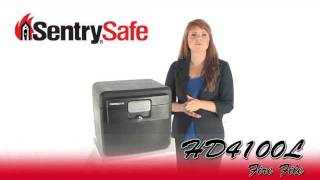 Sentry Safe HD4100L Fire File