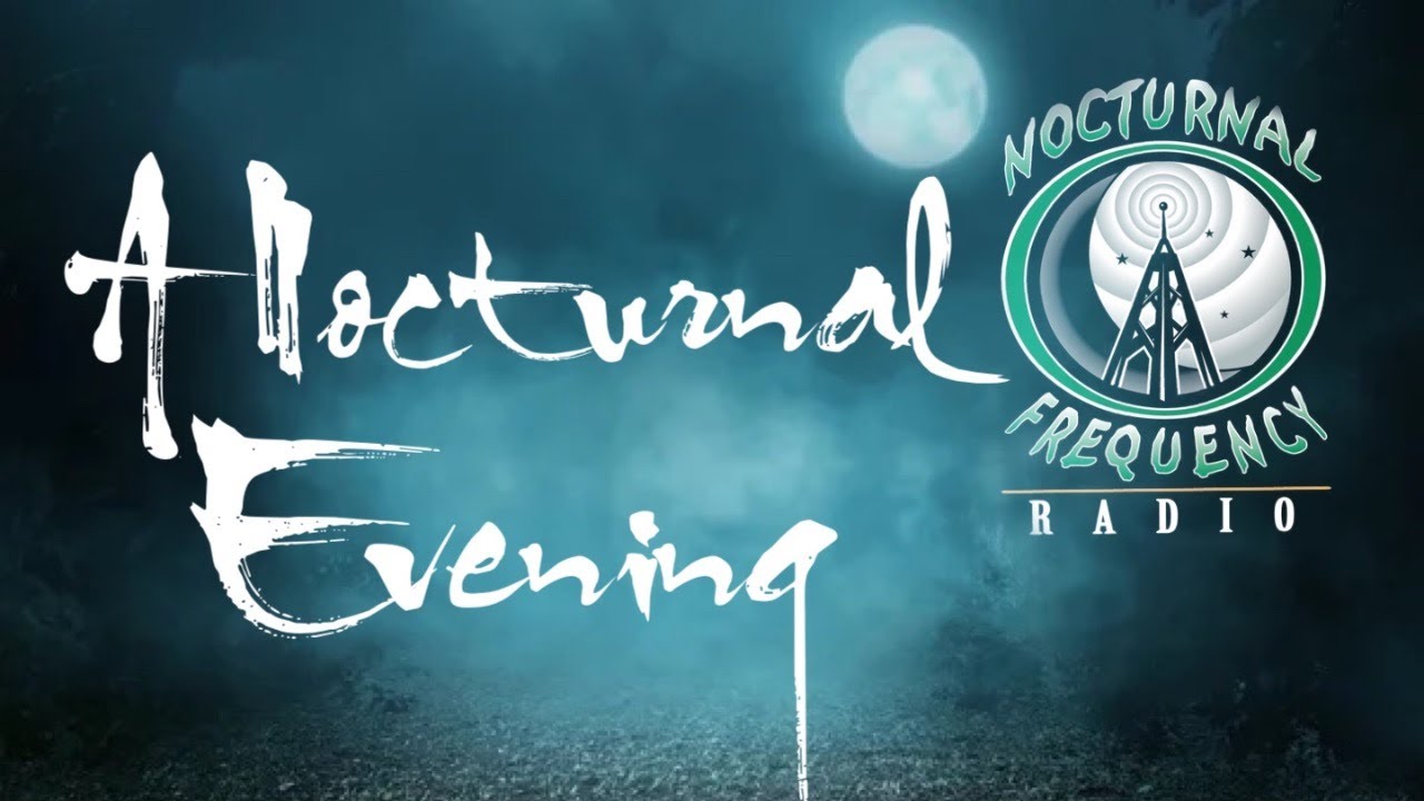 A Nocturnal Evening The Zombies Walk Within The Crop Circle... YouTube
