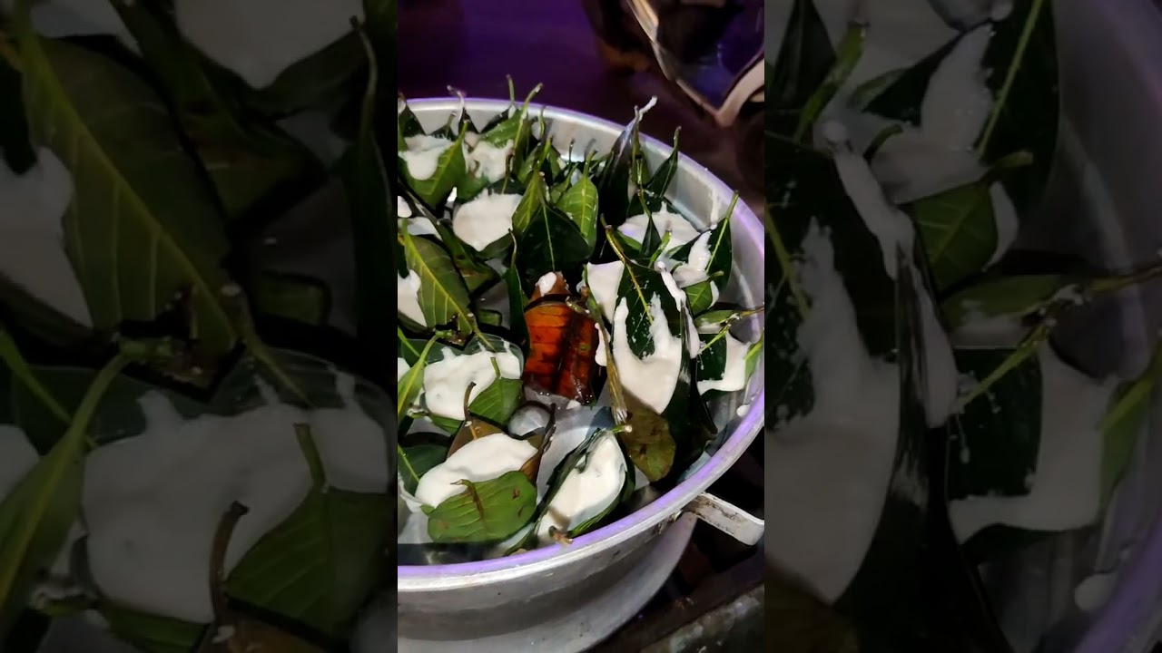 1 Idli 15 Rupees | Vasenapoli Leaf Idli | Kakinada Eat Street |POTTIKKALU Recipe 