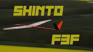 F3F Shinto Slope Training at 3m/s