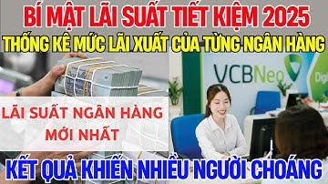 Lãi Suất Tiết Kiệm Năm 2025 : 100 Triệu Đồng Nhận Được Bao Nhiêu ? | Chủ Đề Nổi Bật