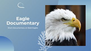 Short Eagle Documentary