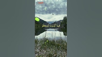 تلاوة خاشعة | "وما أصابكم من مصيبة فبما كسبت أيديكم" بصوت عبد الباسط عبد الصمد | #اكسبلور