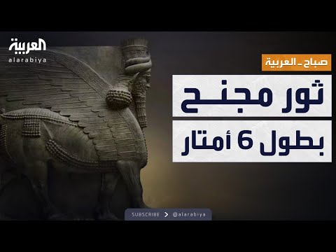 صباح العربية تفاصيل اكتشاف أكبر ثور مجنح في تاريخ الدولة الآشورية