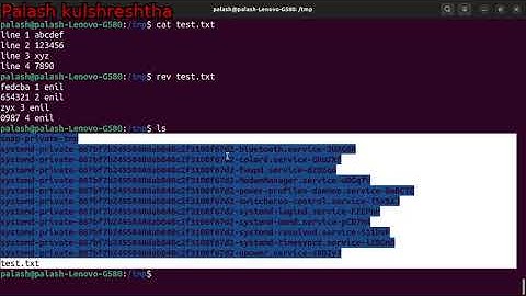 how to reverse a string and how to reverse the order of lines in bash linux