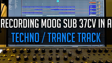 Recording Moog Sub 37CV in a Techno / Trance Track (BjoKib - Little Birdies)
