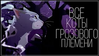 Коты Воители - ВСЕ коты Грозового племени [3 ЧАСТЬ]