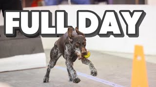 Flyball-A Full Day of Racing