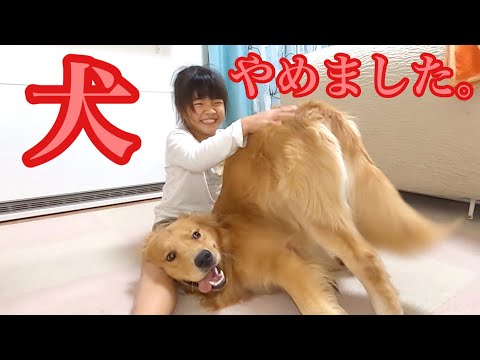 犬やめました。  