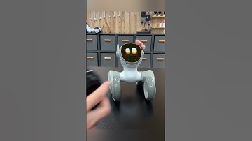 loona robot looking her beauty #loona #loonarobot #loonareaction #petrobot #airobot #petbot