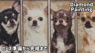 ダイヤモンドアート ラウンド 30×40 仲良し 女の子 チワワ モザイクアート ダイヤモンドアートキット 女の子とチワワ①（40×30） - メルカリ