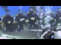 Shark Junction Grand Bahama Shark Feeding Dive