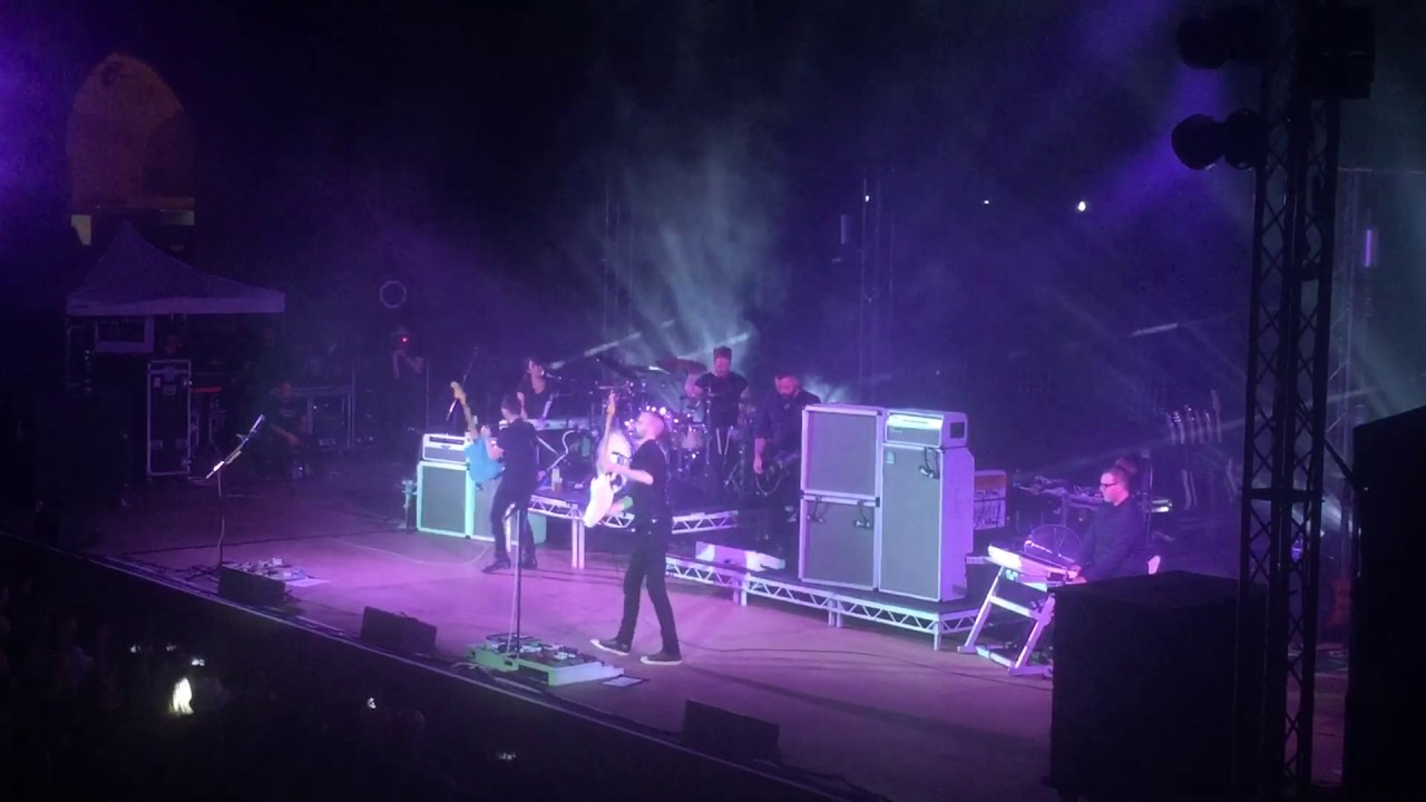 placebo pure morning скачать