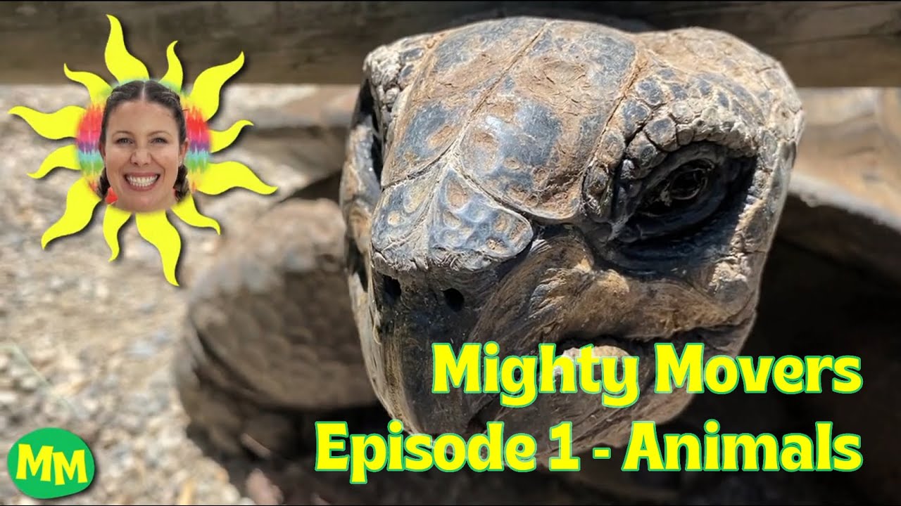 Mighty Movers S01E01 Creatures Great & Small
