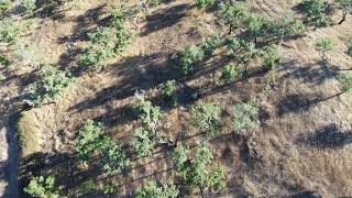 Terreno Santiago do Cacem