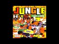 Various - Jungle Hits Vol. 3 (1995)