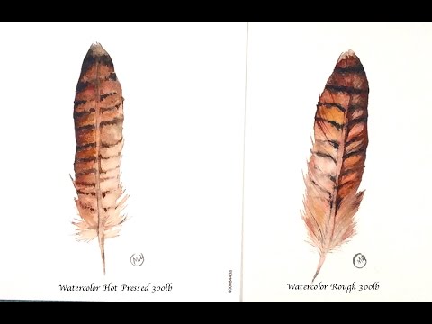 Watercolor Feathers Hot Pressed and Rough Watercolor Paper Painting  Demonstration 
