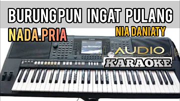 BURUNGPUN INGAT PULANG!!NIA DANIATY(KARAOKE)NADA PRIA.HD