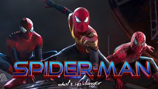 Spider-Verse || What’s Up Danger || Spider-Man : No Way Home