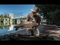 IN THE GAME - Episode 2 [ Pêche à la carpe en rivière, Street fishing, Urban fishing ]