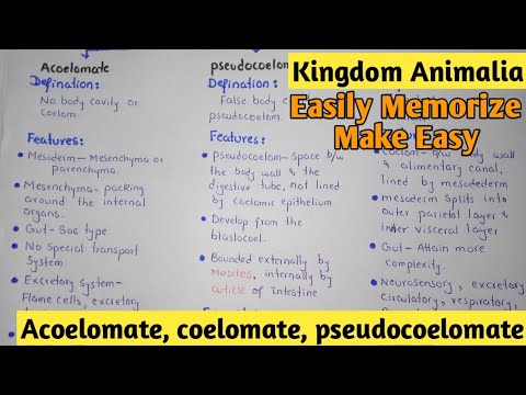 Wideo: Różnica Między Coelomate I Acoelomate