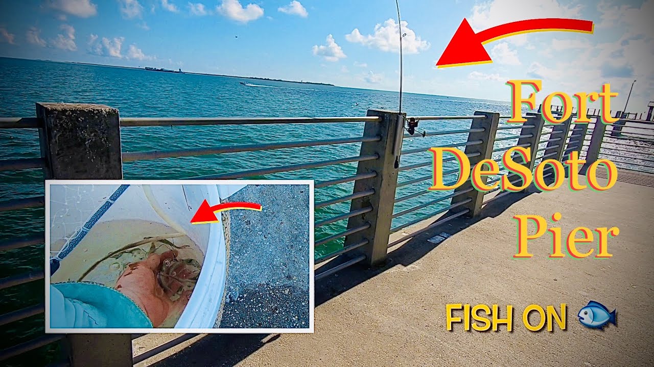 FOUND Bait but Can We Catch the HUGE FISH at Fort DeSoto Pier, Florida