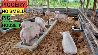 How To Make No Smell PIG HOUSE / IMO PROCESS!