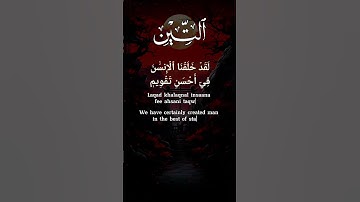 Surah Tin | No Ads | Surah At Tin سورة التين (95) | The Fig | Surah At-Tin | English Translation