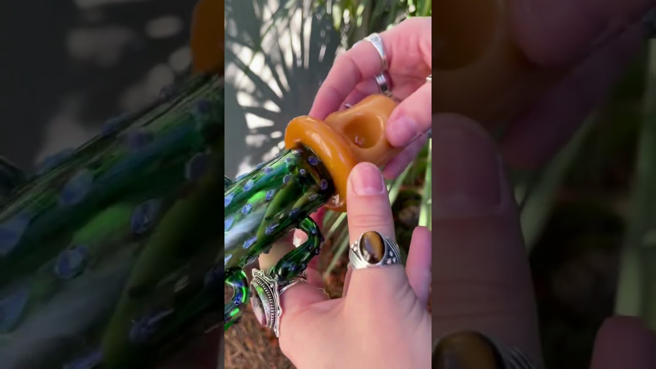 🌵 Elevate your sesh with the LA Pipes San Pedro Cactus Glass Pipe