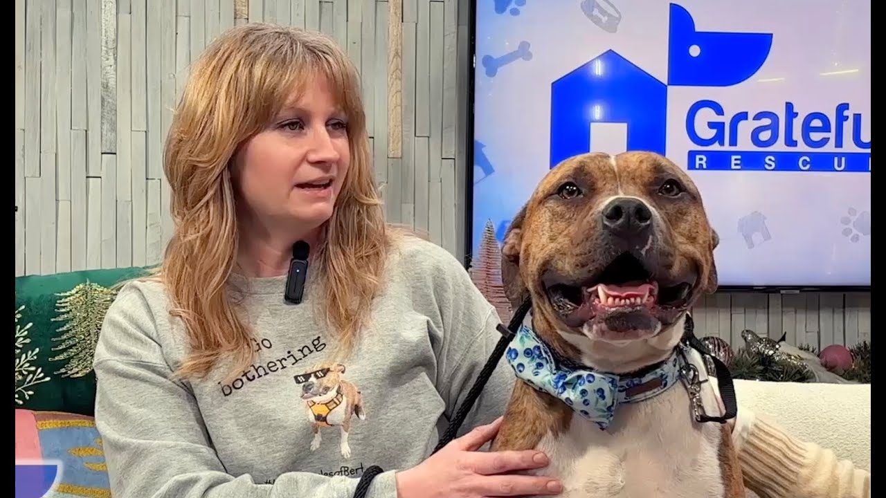 NEW EPISODE: Bert's book shares life lessons for all of us!