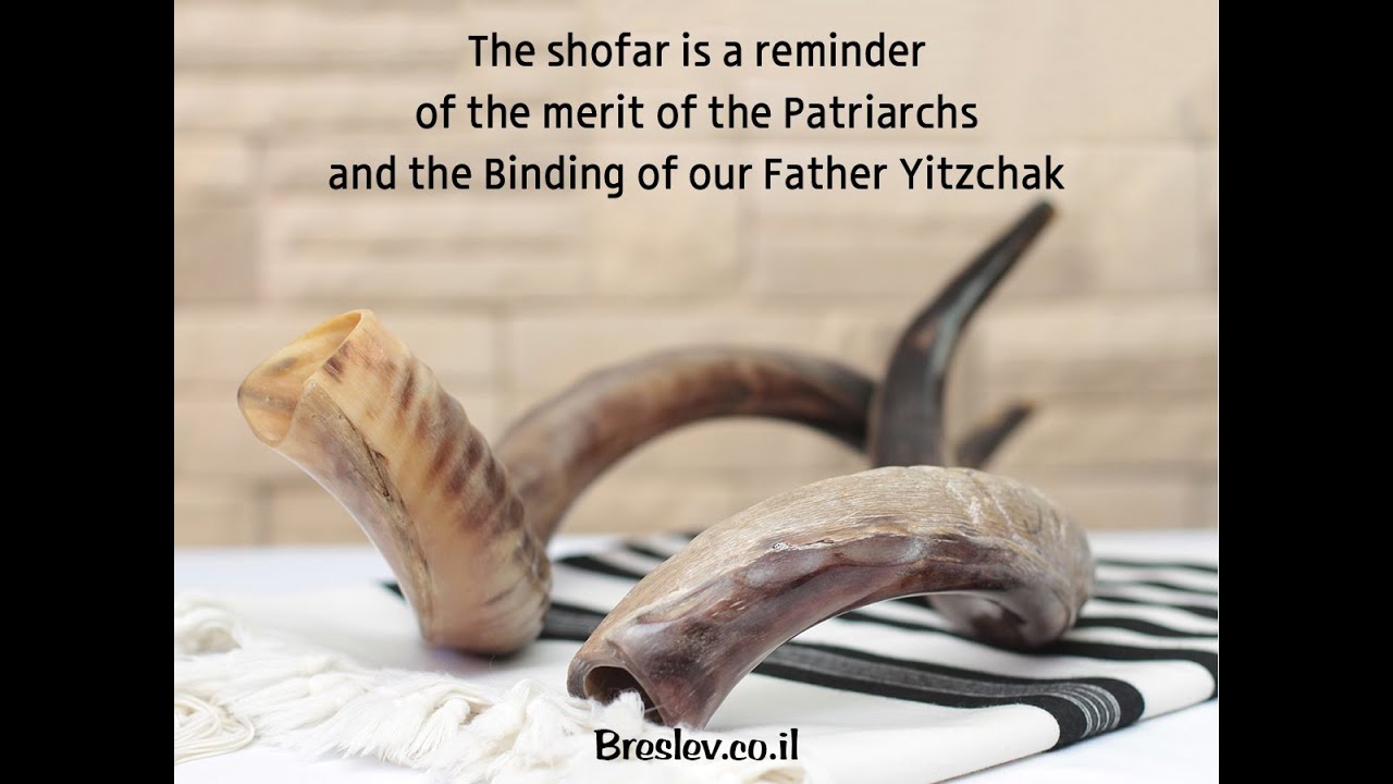 Daily Halachic Corner 207 Elul The Shofar Rav Dayan Elgrod