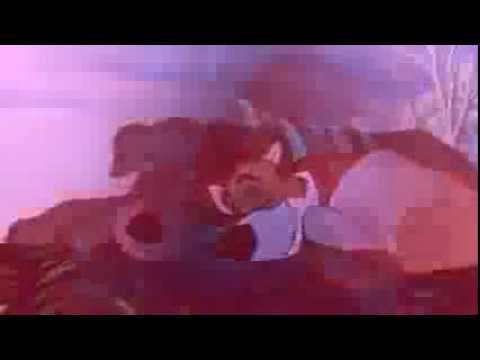Tramp x Dodger - Jesse