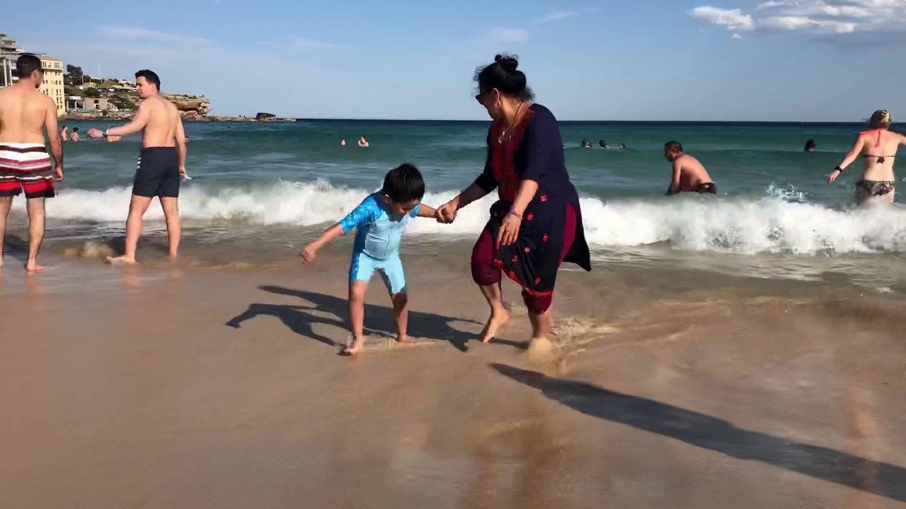 Oscar at Bondi Beach
