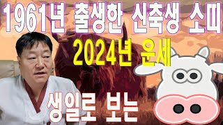 2024년 신년 운세 1961년도 출생한 신축생 소띠 음력 생일별 사주풀이