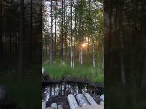 Рассветы Ленинградской области|рыбалка