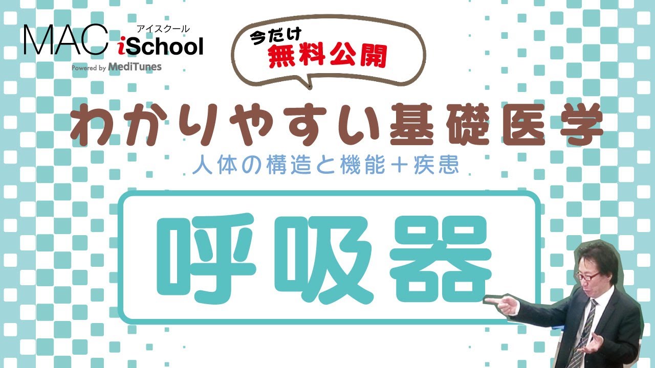 【期間限定無料公開】わかりやすい基礎医学(人体の構造と機能+疾患） 1．呼吸器　#医学 #医学生 #医療従事者