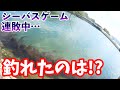 【シーバスゲーム】連敗中のシーバスゲーム。久々の釣果はアイツだった！