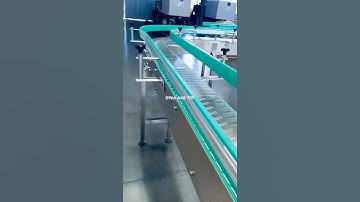 Băng tải xích nhựa 😊 Băng tải Trường Thọ