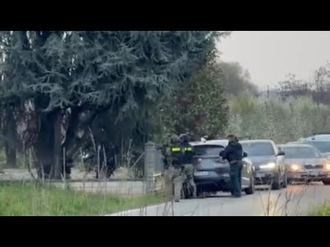 Video Il blitz della polizia a Vignola: uno dei rapinatori prova a nascondersi sull'albero